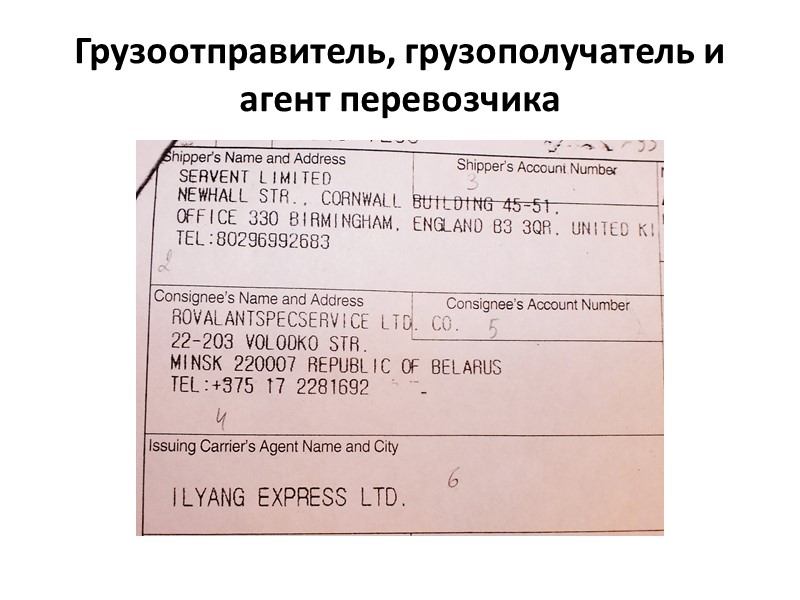 Грузоотправитель, грузополучатель и агент перевозчика